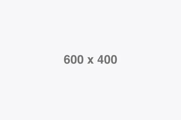 Auth & Organizations